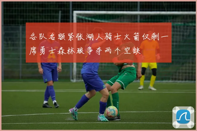 各队名额紧张湖人骑士火箭仅剩一席勇士森林狼争夺两个空缺