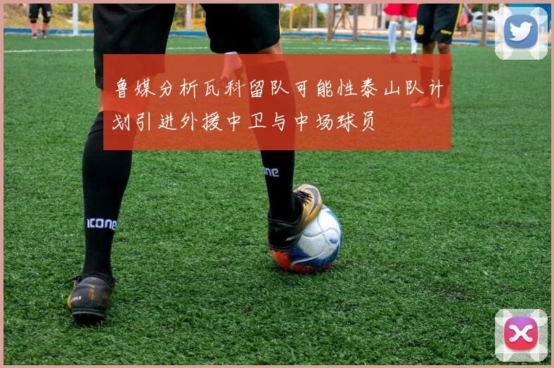 鲁媒分析瓦科留队可能性泰山队计划引进外援中卫与中场球员