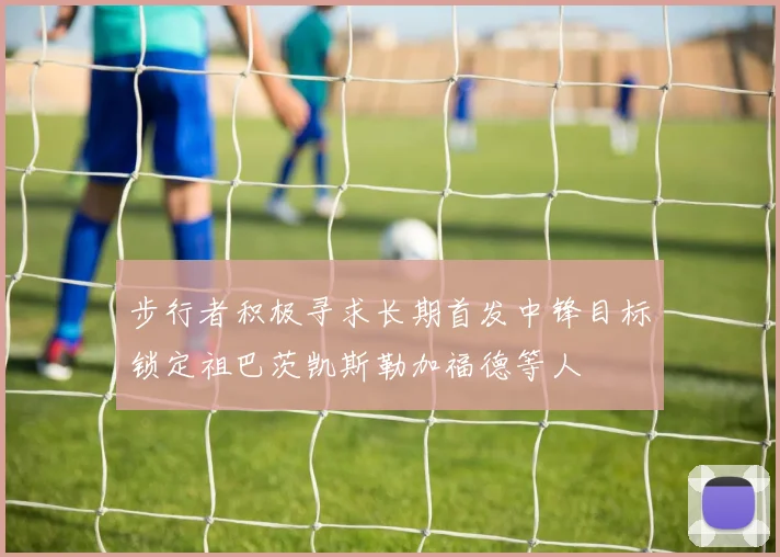 步行者积极寻求长期首发中锋目标锁定祖巴茨凯斯勒加福德等人
