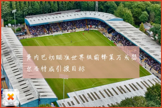 费内巴切瞄准世界级前锋莱万或瑟尔洛特成引援目标