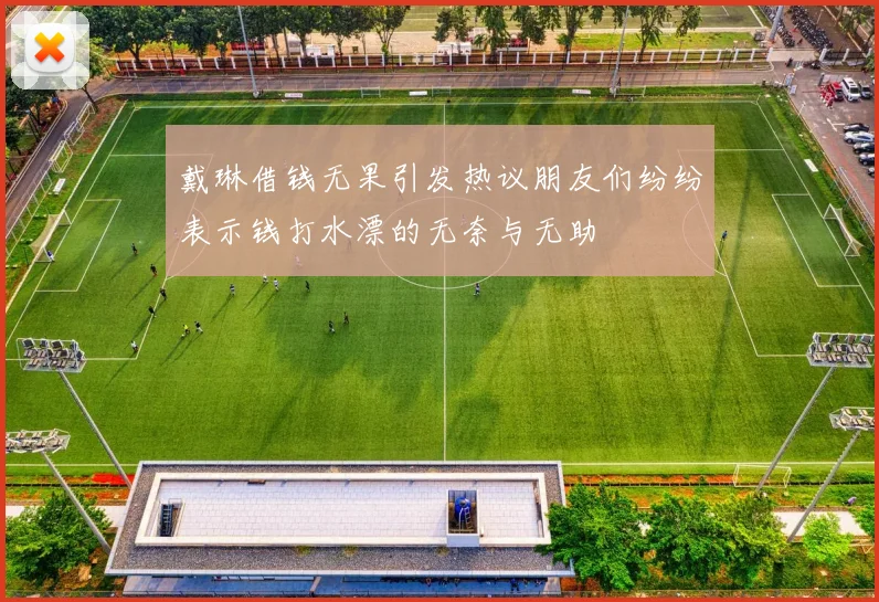 戴琳借钱无果引发热议朋友们纷纷表示钱打水漂的无奈与无助