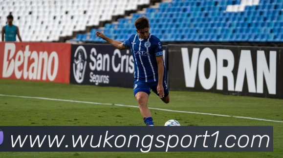 悟空体育平台生态图