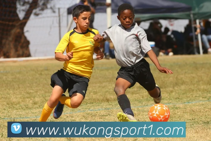 悟空体育APP 封面图