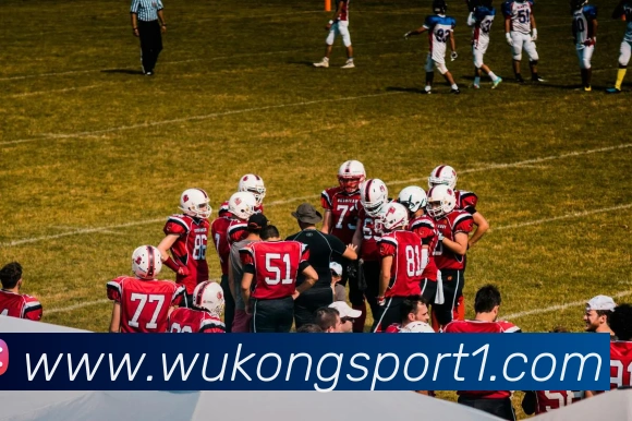 数据防护可视化