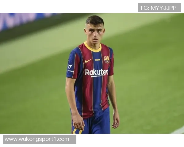 中场中路球员身价榜揭晓佩德里以14亿欧元领跑巴尔韦德赖斯紧随其后